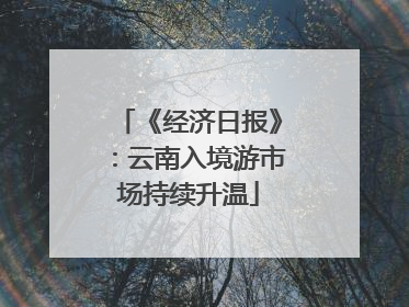 《经济日报》：云南入境游市场持续升温