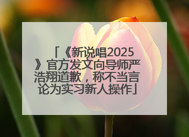 《新说唱2025》官方发文向导师严浩翔道歉，称不当言论为实习新人操作