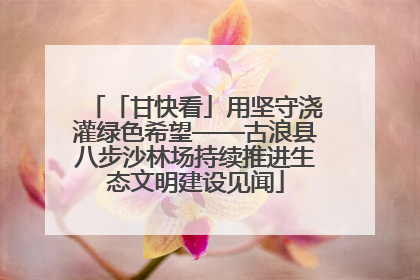 「甘快看」用坚守浇灌绿色希望——古浪县八步沙林场持续推进生态文明建设见闻