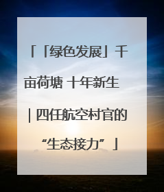 「绿色发展」千亩荷塘 十年新生｜四任航空村官的“生态接力”