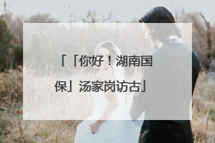 「你好！湖南国保」汤家岗访古