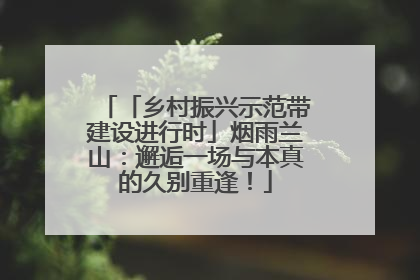 「乡村振兴示范带建设进行时」烟雨兰山：邂逅一场与本真的久别重逢！