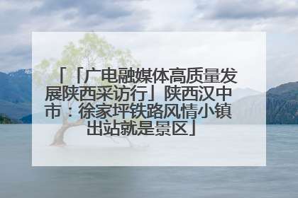 「广电融媒体高质量发展陕西采访行」陕西汉中市：徐家坪铁路风情小镇 出站就是景区