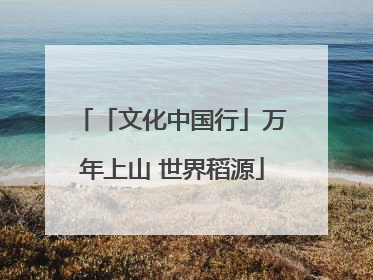 「文化中国行」万年上山 世界稻源