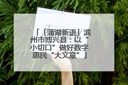 「蒲湖新语」滨州市博兴县：以“小切口”做好数字惠民“大文章”