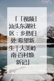 「视频」汕头东湖社区：乡愁归处 希望新生｜大美岭南·百村焕新记