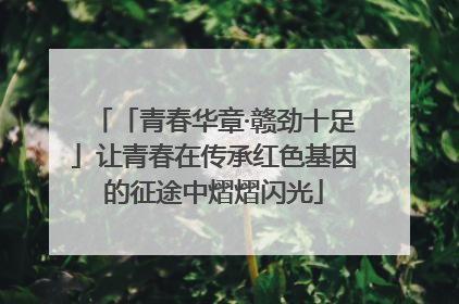 「青春华章·赣劲十足」让青春在传承红色基因的征途中熠熠闪光