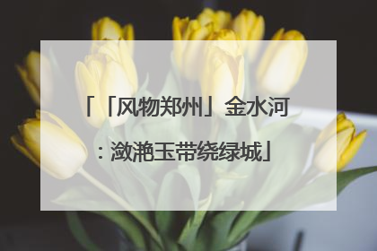 「风物郑州」金水河：潋滟玉带绕绿城