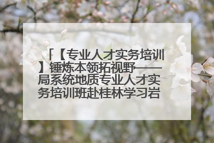 【专业人才实务培训】锤炼本领拓视野——局系统地质专业人才实务培训班赴桂林学习岩溶地质防灾与韧性城市建设前沿实践
