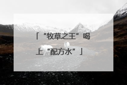 “牧草之王”喝上“配方水”