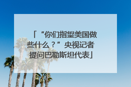 “你们指望美国做些什么？”央视记者提问巴勒斯坦代表