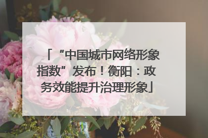 “中国城市网络形象指数”发布！衡阳：政务效能提升治理形象