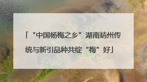 “中国杨梅之乡”湖南靖州传统与新引品种共绽“梅”好