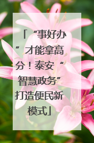 “事好办”才能拿高分！泰安“智慧政务”打造便民新模式