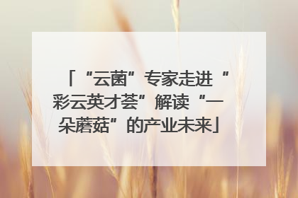 “云菌”专家走进“彩云英才荟”解读“一朵蘑菇”的产业未来