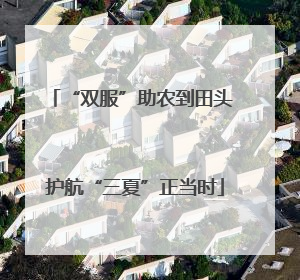 “双服”助农到田头 护航“三夏”正当时