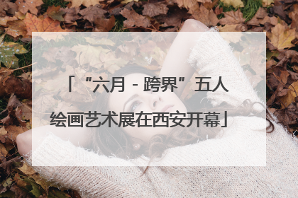 “六月 - 跨界”五人绘画艺术展在西安开幕