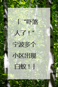 “吓煞人了！”宁波多个小区出现白蚁！