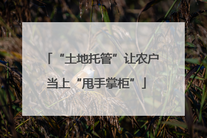 “土地托管”让农户当上“甩手掌柜”