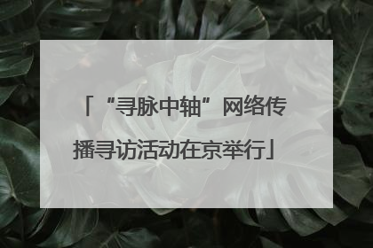 “寻脉中轴”网络传播寻访活动在京举行