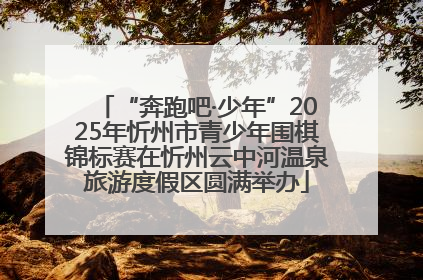 “奔跑吧·少年”2025年忻州市青少年围棋锦标赛在忻州云中河温泉旅游度假区圆满举办