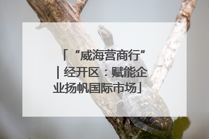“威海营商行”｜经开区：赋能企业扬帆国际市场