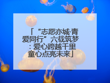 “志愿亦城·青爱同行”六载筑梦：爱心跨越千里 童心点亮未来