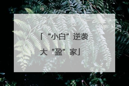 “小白”逆袭大“盈”家