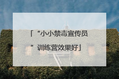 “小小禁毒宣传员”训练营效果好