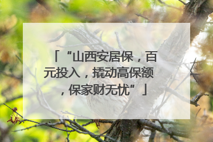 “山西安居保，百元投入，撬动高保额，保家财无忧”