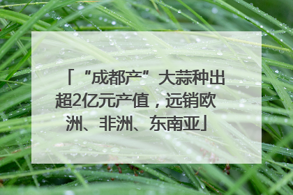 “成都产”大蒜种出超2亿元产值，远销欧洲、非洲、东南亚