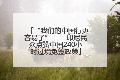 “我们的中国行更容易了”——印尼民众点赞中国240小时过境免签政策