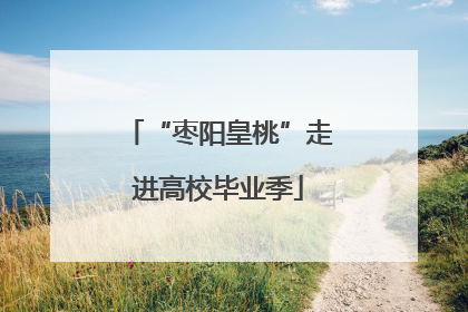 “枣阳皇桃”走进高校毕业季