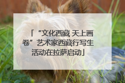 “文化西藏 天上画卷”艺术家西藏行写生活动在拉萨启动