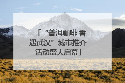 “普洱咖啡 香遇武汉”城市推介活动盛大启幕