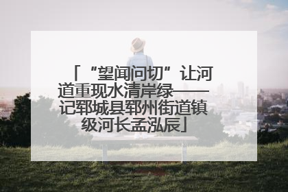 “望闻问切”让河道重现水清岸绿——记郓城县郓州街道镇级河长孟泓辰
