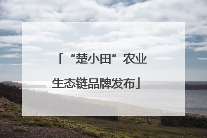 “楚小田”农业生态链品牌发布
