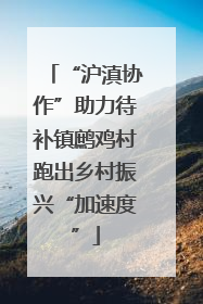 “沪滇协作”助力待补镇鹧鸡村跑出乡村振兴“加速度”