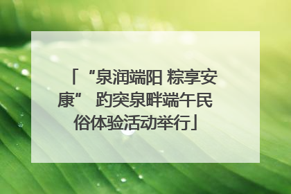 “泉润端阳 粽享安康” 趵突泉畔端午民俗体验活动举行