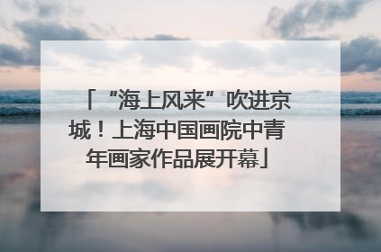 “海上风来”吹进京城！上海中国画院中青年画家作品展开幕