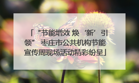 “节能增效 焕‘新’引领” 枣庄市公共机构节能宣传周现场活动精彩纷呈