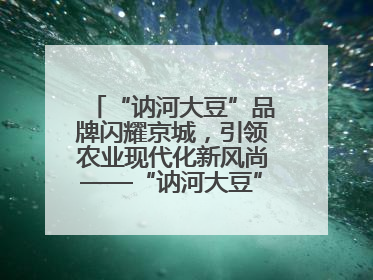 “讷河大豆”品牌闪耀京城，引领农业现代化新风尚——“讷河大豆”品牌新发地推介会圆满落幕