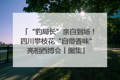 “豹局长”亲自到场！四川攀枝花“自带香味”亮相西博会丨图集