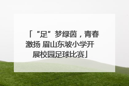 “足”梦绿茵，青春激扬 眉山东坡小学开展校园足球比赛