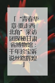 “青春华章·重走西北角”采访团探秘甘肃省博物馆：千年珍宝诉说丝路辉煌