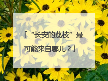 “长安的荔枝”最可能来自哪儿？