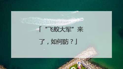 “飞蚁大军”来了，如何防？