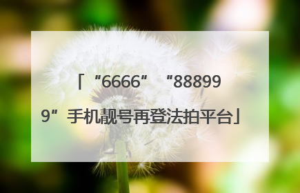 “6666”“888999”手机靓号再登法拍平台