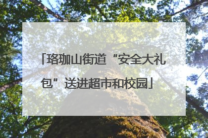 珞珈山街道“安全大礼包”送进超市和校园