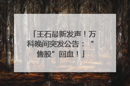王石最新发声！万科晚间突发公告：“售股”回血！